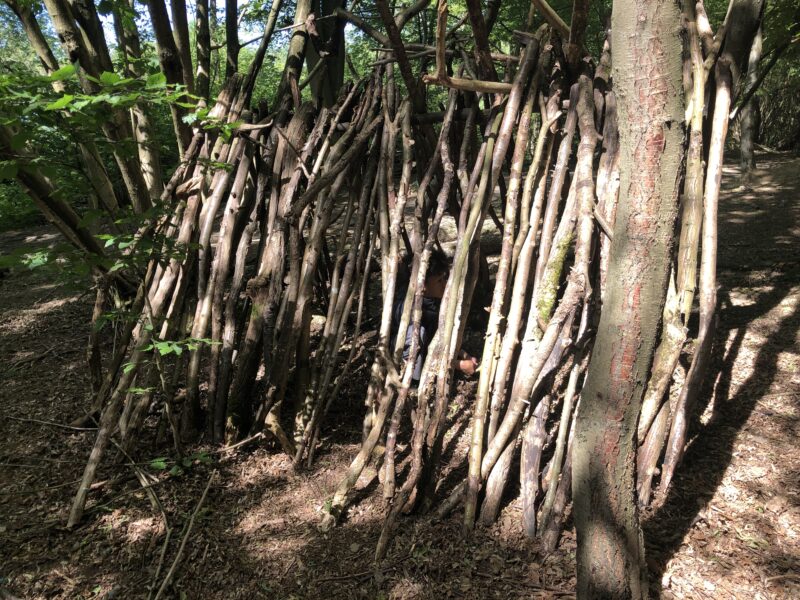 den made of sticks in the woods big enough for two children to sit inside.