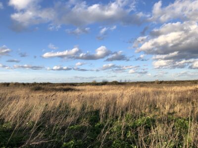 cliffe pools